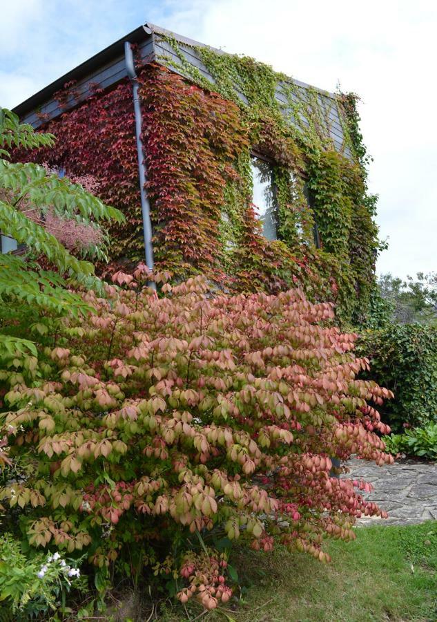 Jardin De Belle Vue Hotel Quimperlé Exterior foto